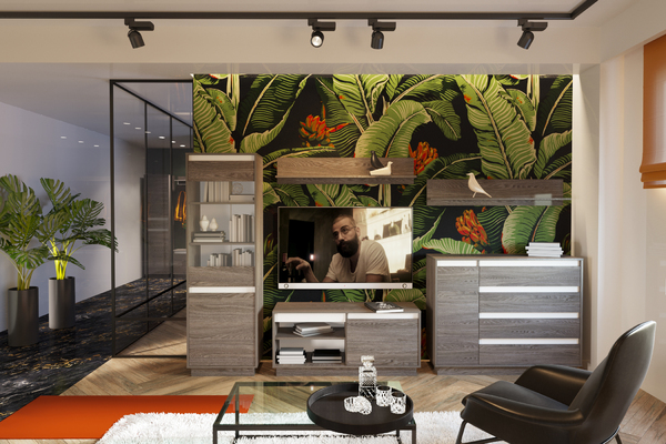 Шкаф для посуды VIRGINIA НМ 011.82 ясень анкор темный, белый скандинавский